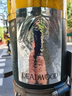 A reflective silver sticker with the word DEADWOOD printed on it is affixed to a pole. The sticker's reflective surface distorts the background, creating an abstract effect.