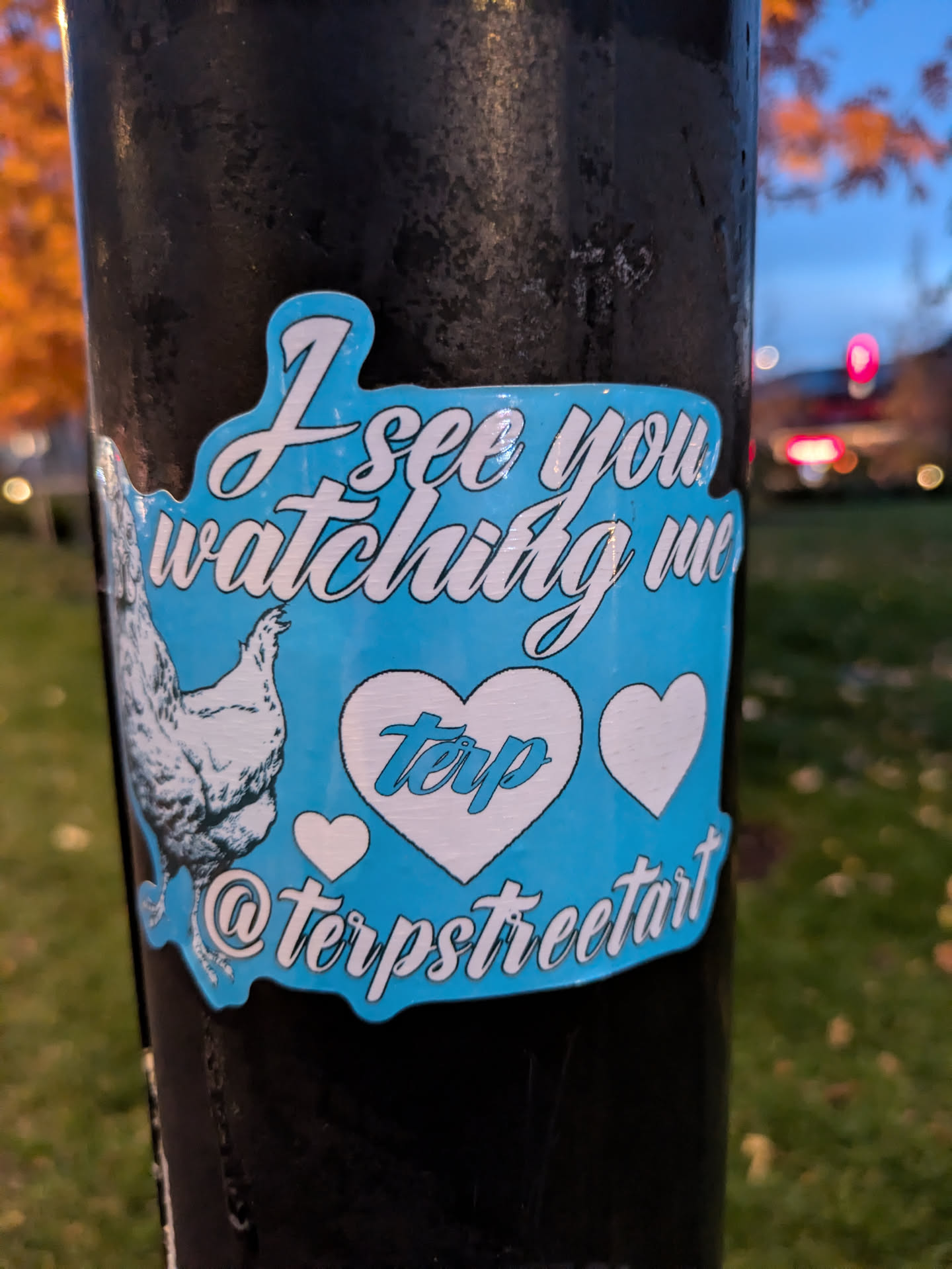 A light blue sticker with the text "I see you watching me" in a stylized font. It also features a drawing of a chicken, three hearts with the word "terp" inside one of them, and the Instagram handle @terpstreetart. 