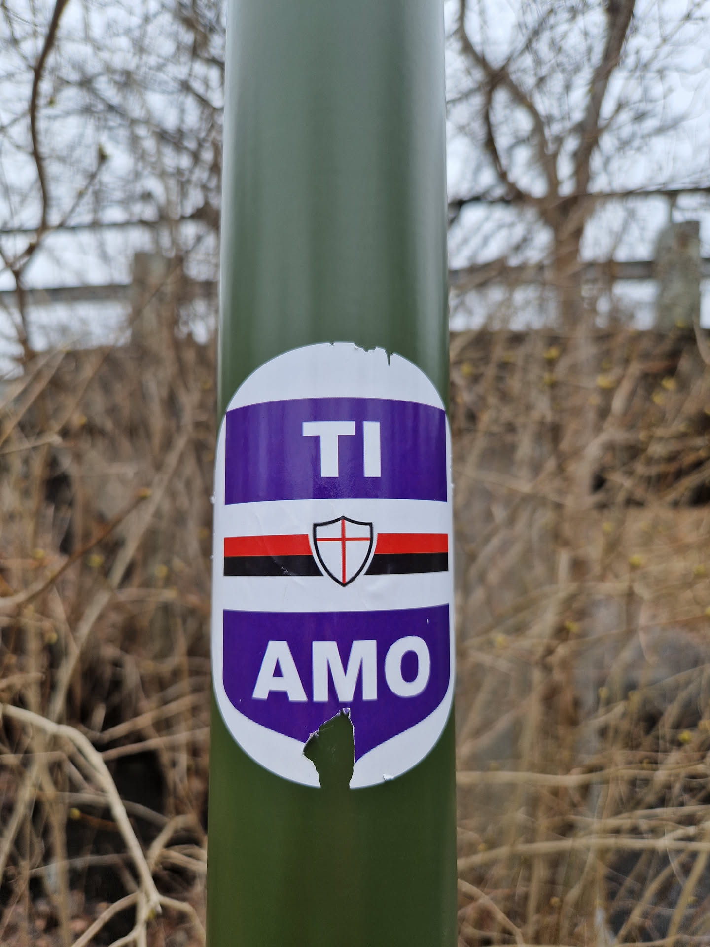 A purple and white oval sticker with the words "TI AMO" in white lettering and a shield emblem is affixed to a green pole. The sticker appears to be slightly damaged, with a small tear near the bottom. The background of the image shows bare branches and undergrowth suggesting an outdoor location. 
