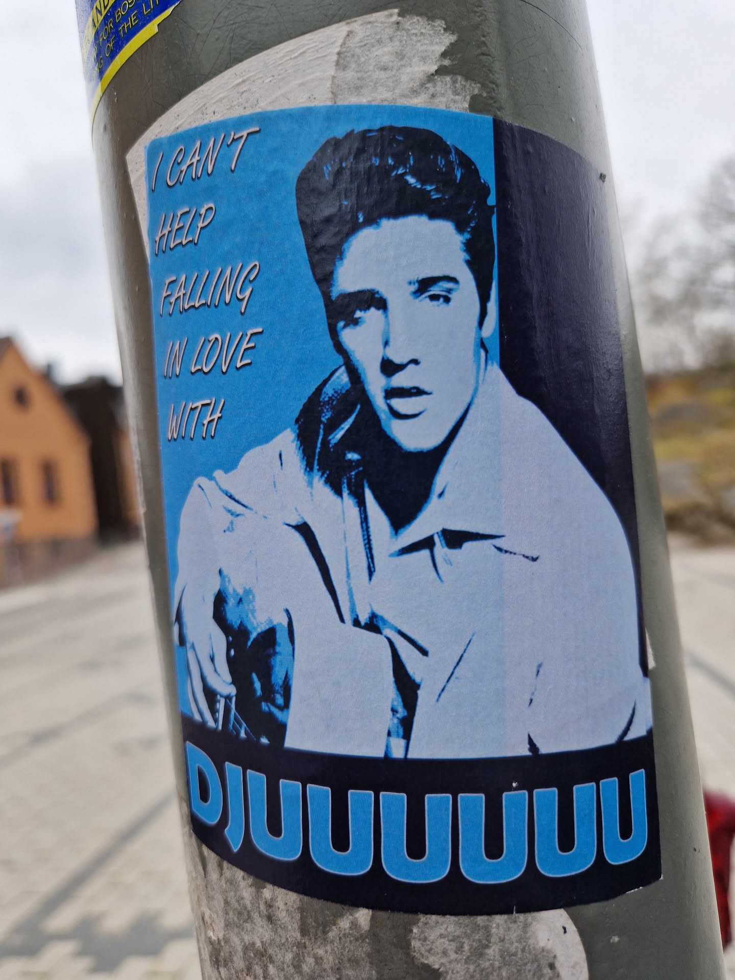 A sticker featuring a stylized image of Elvis Presley in blue and white tones.  The sticker has text above the image that reads "I can't help falling in love with..." and a word or phrase below in a bold, stylized font: "DJUUUUUUU".