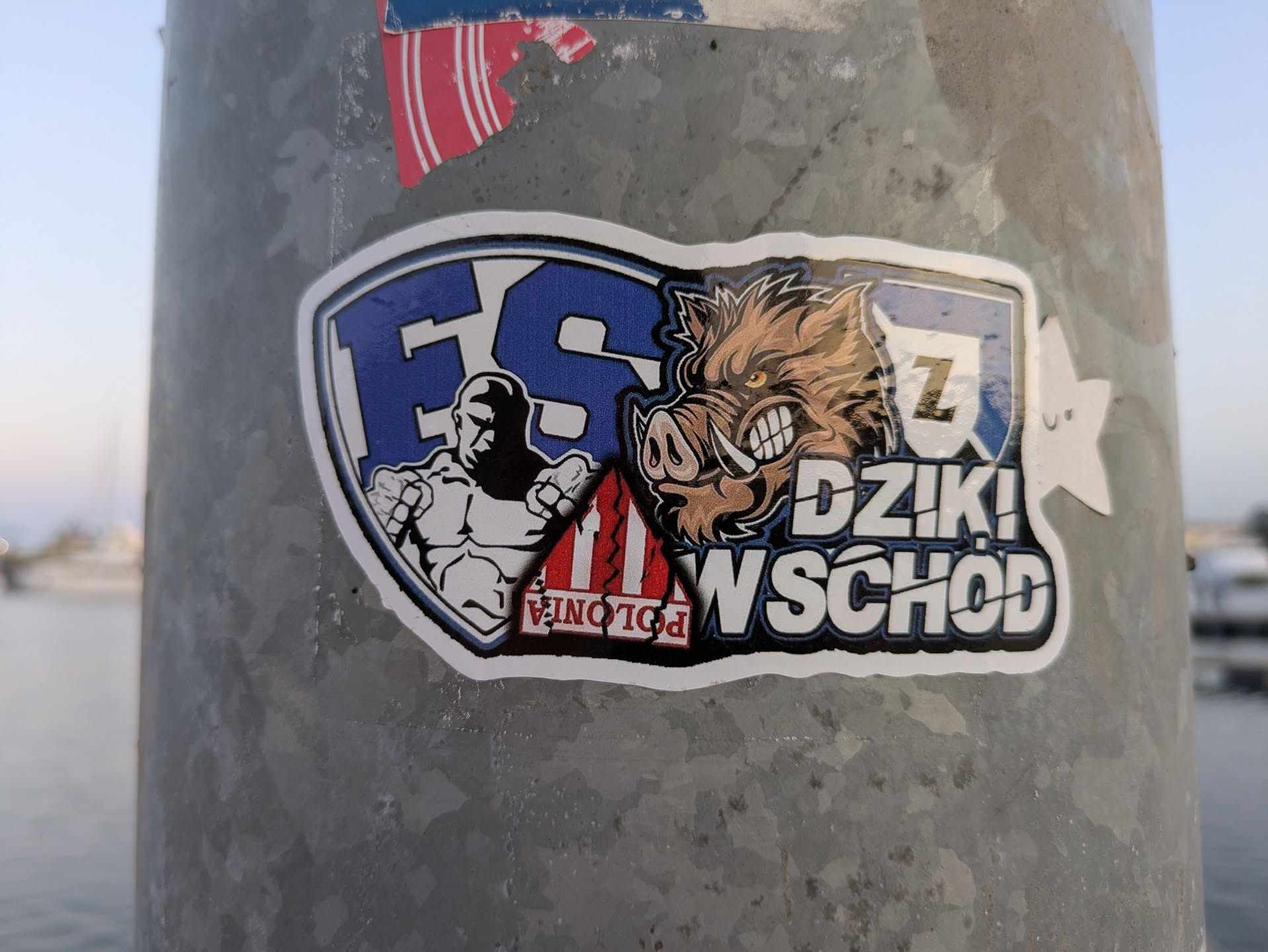 A sticker on a metal pole features a design split into two sections. The left side contains a stylized image of a muscular figure with the letters "FS" above. The right side features an illustration of a wild boar above the words "DZIKI! WSCHOD". The word "POLONIA" is present at the bottom of the sticker.