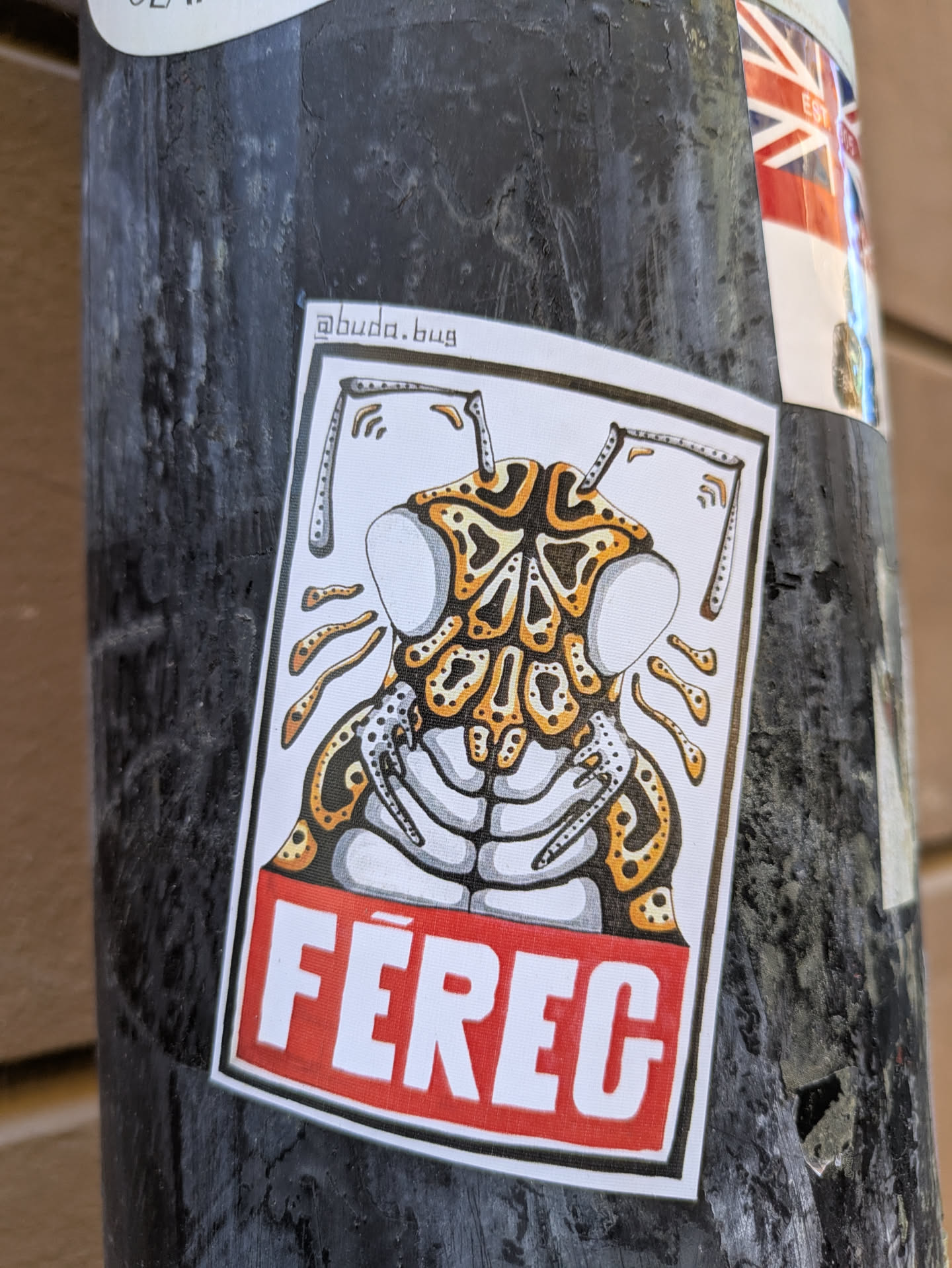 This sticker features an illustration of a beetle-like creature. The body is decorated with an orange and brown pattern, and the sticker includes the word "FÉREG" in a red banner at the bottom.