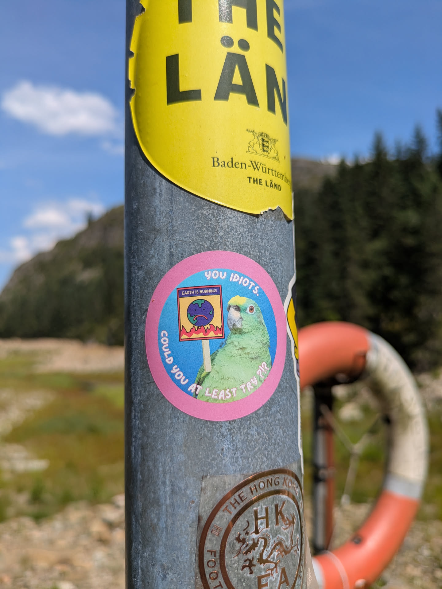 A circular sticker affixed to a metal pole features a vibrant green parrot with a yellow head, holding a sign. The sign depicts a sad blue globe with red flames underneath, bearing the text 'EARTH IS BURNING'. Surrounding the central image, in a pink border, the text 'you IDIOTS.' is at the top, and 'COULD YOU AT LEAST TRY ?!?' is curved along the bottom. The background shows a natural outdoor setting with a mountain, trees, and a lifebuoy.