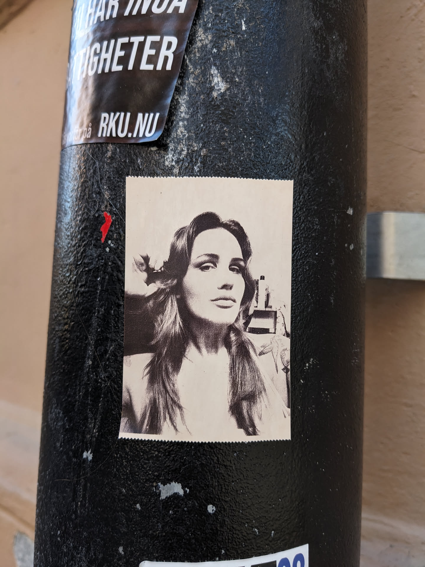A sticker featuring a black and white portrait of a woman with long hair. The sticker is affixed to a dark-colored pole.