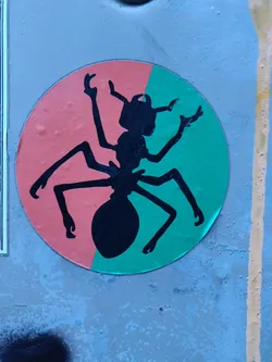 Round sticker with a black silhouette of an ant on a teal and light red background.