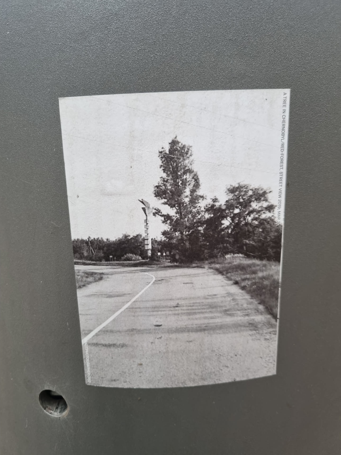 A black and white photo sticker depicting a tree-lined street. The photo appears to be a landscape-oriented image showing a road with a white line, trees, and possibly a structure or monument in the background.