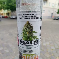 Sticker promoting the Global Marijuana March in Germany on June 5th, 2023.  It features an image of a marijuana plant and the website address for the event.