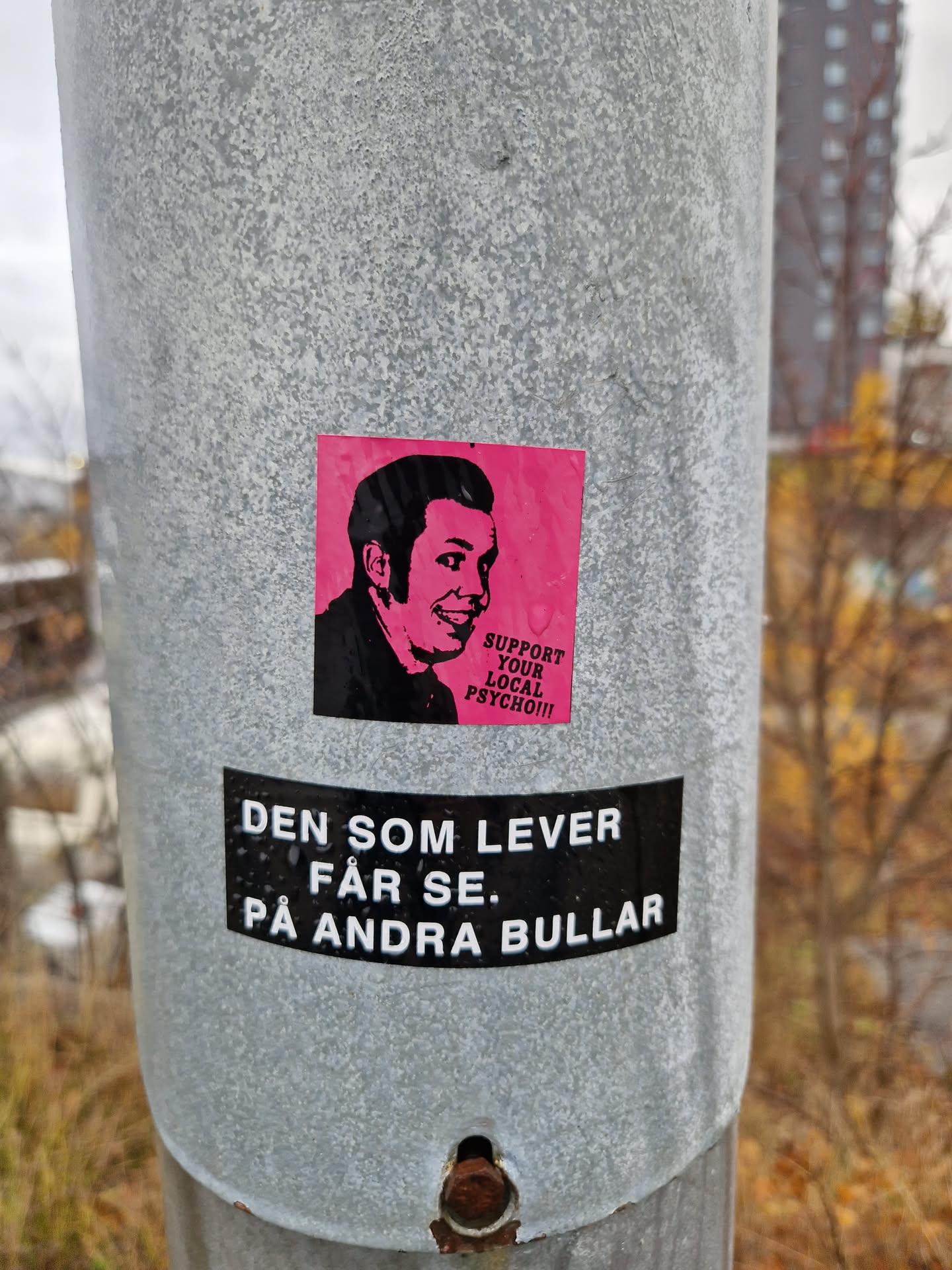 A sticker featuring a stylized portrait of a man with the text "Support your local psycho!!"  Below it is another sticker with the text in Swedish: "Den som lever får se på andra bullar" which translates to: "He who lives will see other buns".