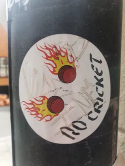 Round sticker featuring two cricket balls on fire. The text "No Cricket" is written in a stylized font.
