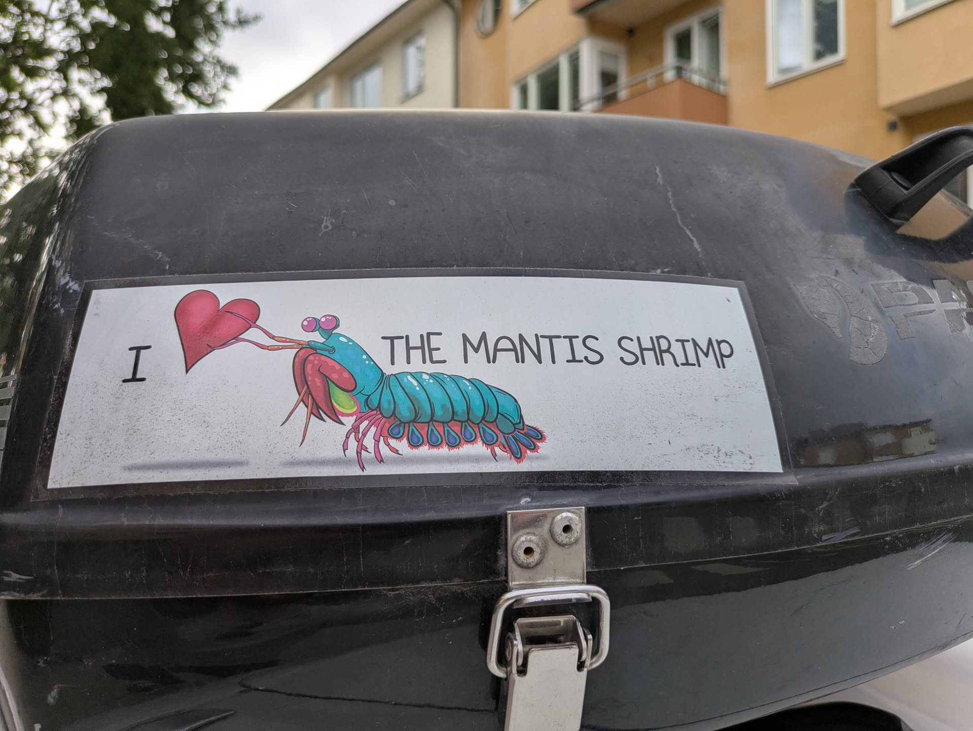 A rectangular white sticker featuring a colorful, stylized illustration of a mantis shrimp. On the left, a black capital 'I' is followed by a vibrant red heart, which appears to be held or connected to the mantis shrimp's appendages. The mantis shrimp itself is depicted with a teal-blue segmented body, bright pink eyes on stalks, and accents of red, pink, and green on its head and underside. To the right of the illustration, the phrase 'THE MANTIS SHRIMP' is written in a simple black sans-serif font. The sticker shows signs of wear and dirt, consistent with being affixed outdoors on a dark, textured surface, likely a storage box or case.