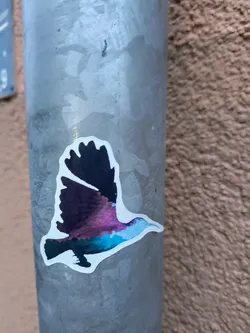 A sticker featuring a stylized watercolor painting of a bird in mid-flight. The bird is predominantly dark purple and teal, with black accents. The style is reminiscent of nature documentaries or field guides.
