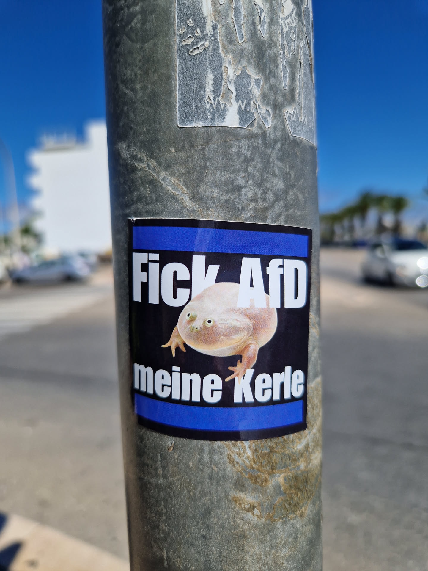 A sticker featuring a picture of a frog with the text "Fick AfD meine Kerle". The sticker is affixed to a metal pole.
