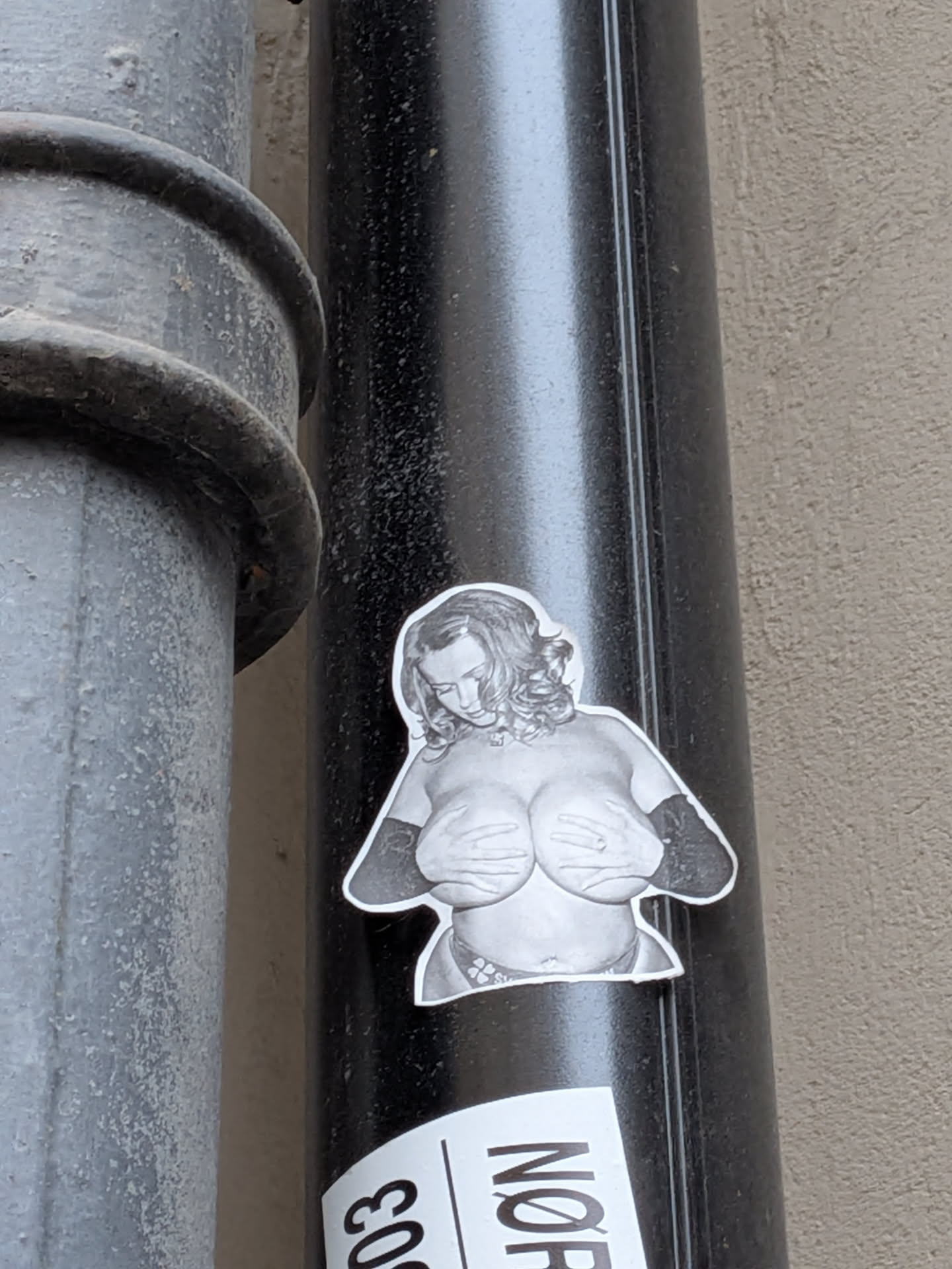 A die-cut monochrome sticker showing the torso of a topless woman looking downward with wavy hair. She is cupping her breasts with both hands and wearing textured arm coverings or gloves. A thin white contour outlines the silhouette of the figure, which is pasted onto a vertical black pipe.