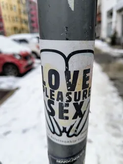 A sticker with a graphic design and text that says 'LOVE PLEASURE SEX'.  It also has the words 'a Relationship Coach' at the bottom.