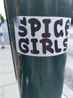A sticker featuring the words "Spice Girls" in a bold, slightly distressed black font on a white background.  The sticker is affixed to a dark green pole.