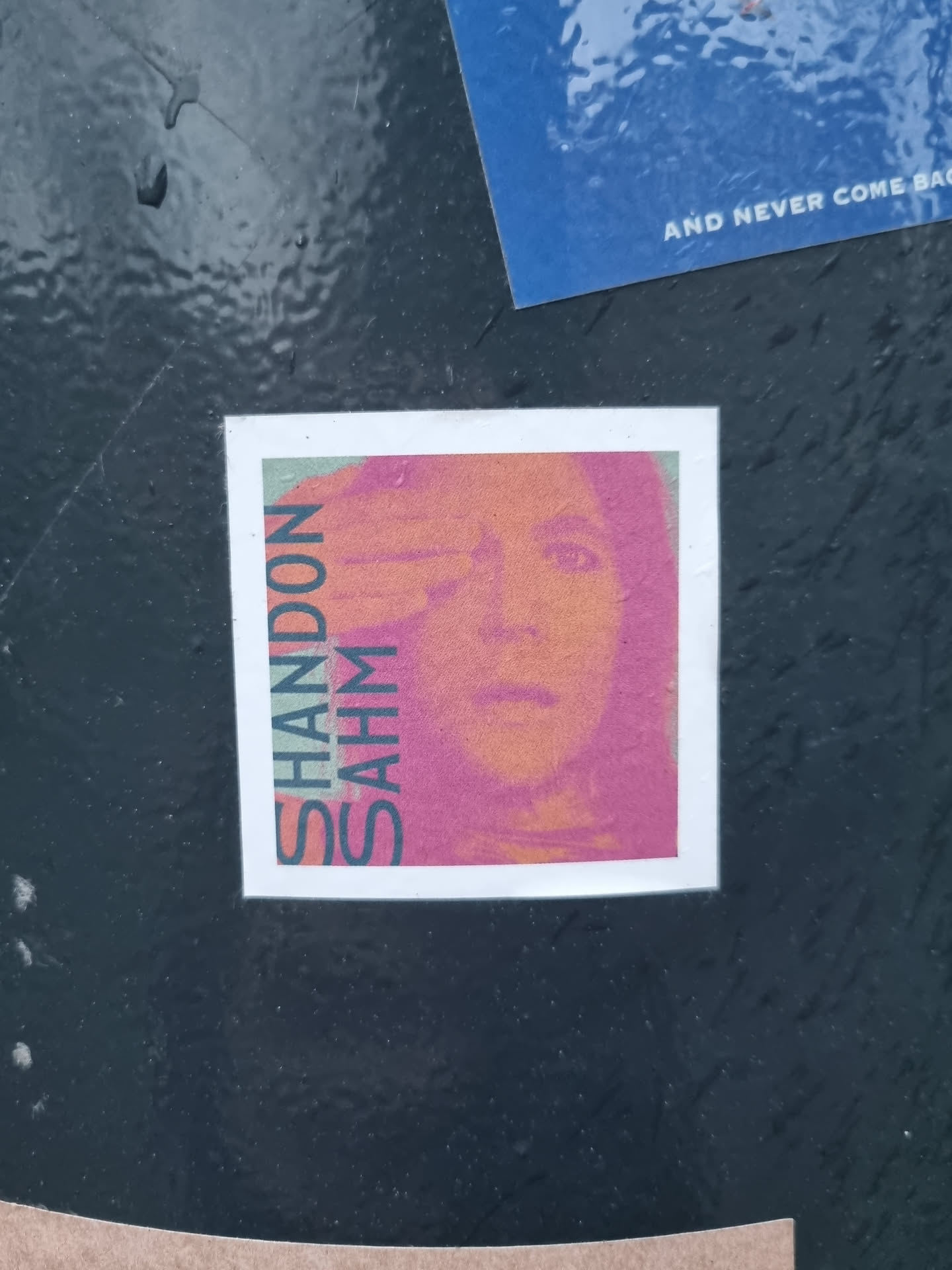 A sticker featuring a portrait of Shanidon Sahm in a pop art style. The colors are mainly pink and orange. The name "Shanidon Sahm" is written vertically on the left side of the sticker.