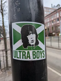 The sticker is square-shaped, predominantly featuring a green and white color scheme. The background is divided into four triangles by a white 'X' or saltire-like cross, with the top and bottom triangles being white, and the left and right triangles being green. Centered on this background is a black silhouette of a person's head with shaggy, medium-length hair, depicted in a stylized, almost punk-rock fashion. The face has minimal white outlines for the eyes, nose, and mouth. Below the head, in a bold, sans-serif green font, is the text 'ULTRA BOYS'. The sticker shows signs of wear, with some creases and slight peeling, indicating it's a physical sticker affixed to a dark pole.