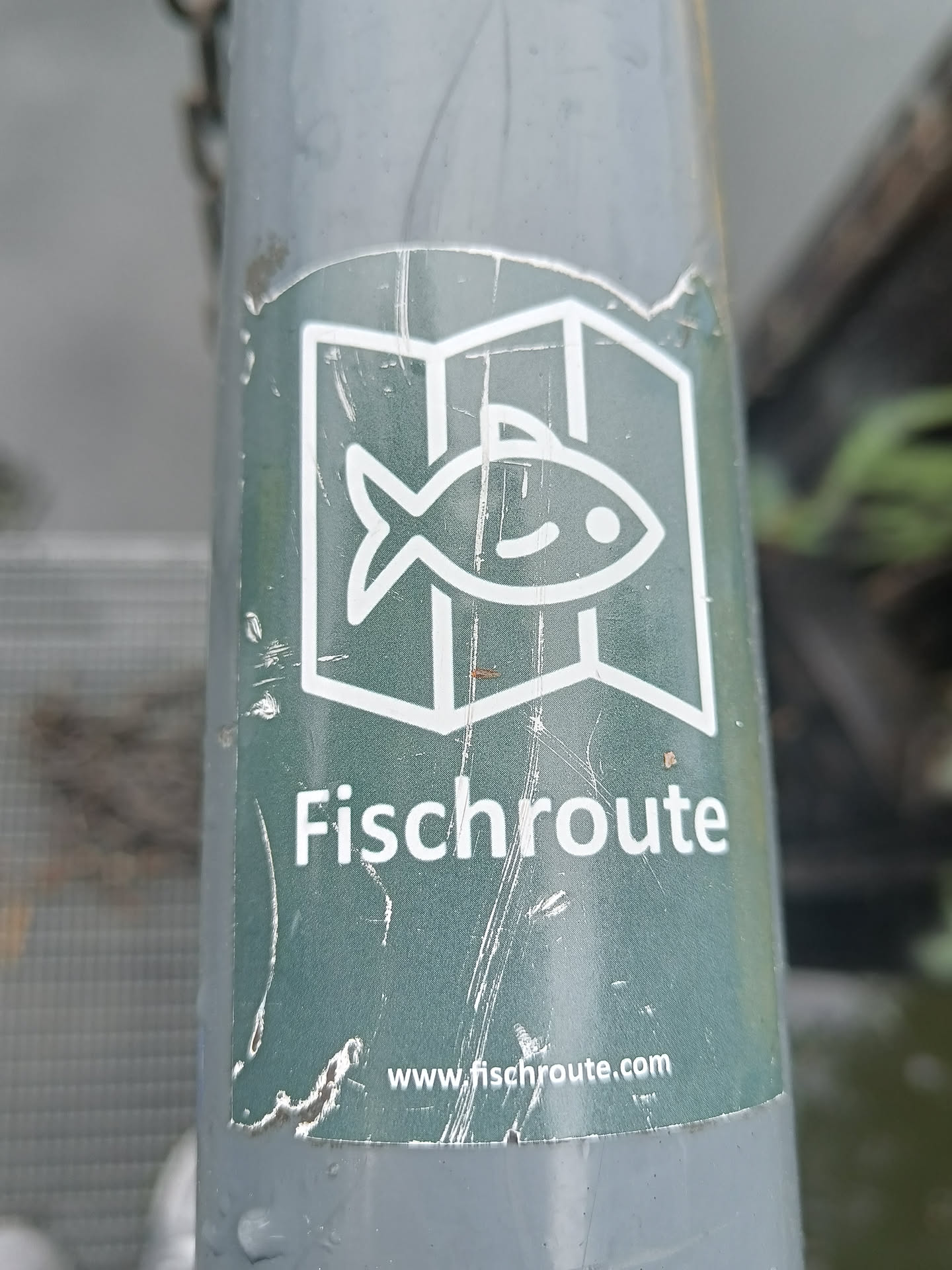 A worn green sticker with a fish logo and the text "Fischroute" and a website address. The sticker is affixed to a grey pole outdoors.