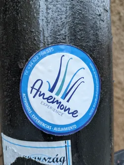 Round blue sticker with the Anemone Experience logo. It includes a phone number (+34 622 766 515) and a website (www.anemonexperience.com). The text also says Actividades, Experiencias, Alojamiento (Activities, Experiences, Accommodation) in Spanish.