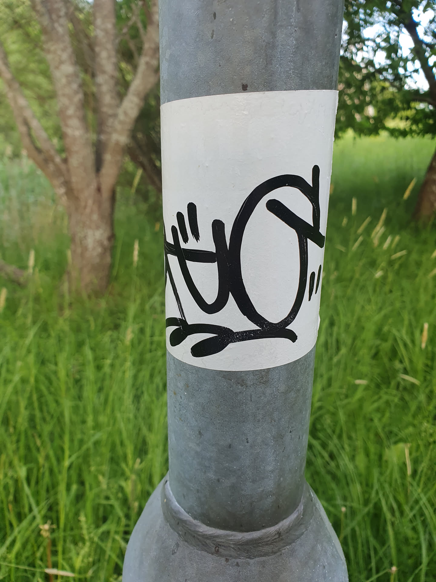 A close-up shot of a black and white graffiti sticker on a grey metal pole. The sticker features abstract designs in black ink on a white background. The background is blurred, showing tall green grass and trees.