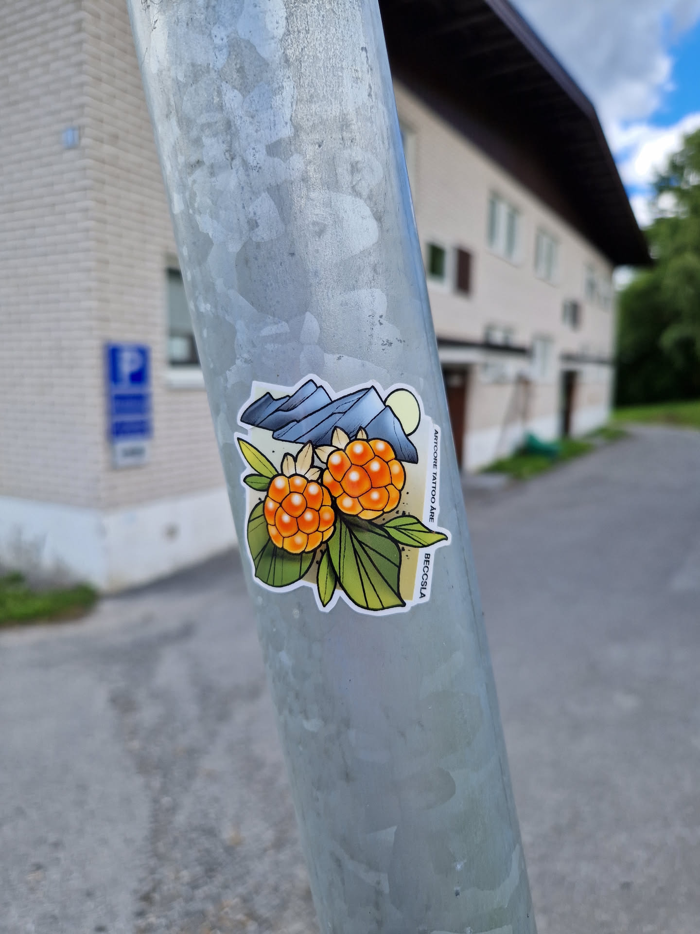 A sticker featuring an illustration of cloudberries and mountains. The style is simple and nature-inspired. It's placed on a metal pole outdoors.