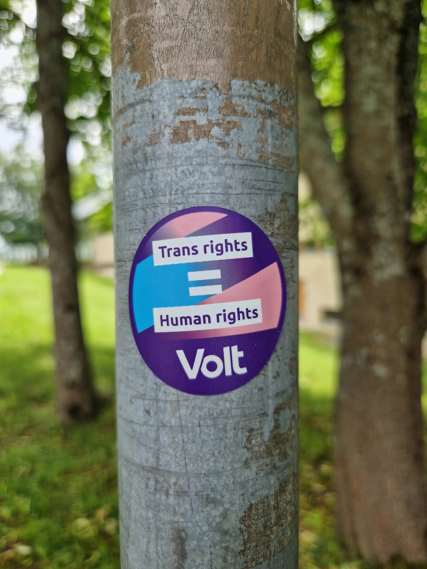 A round purple sticker with the text 'Trans rights = Human rights' and the Volt logo.