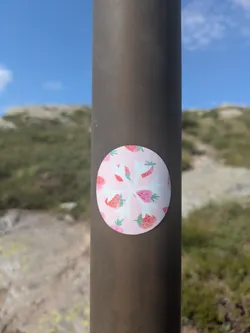 A circular sticker featuring a light pink background covered in a whimsical pattern of stylized red and pink strawberries with green leaves. A distinct white, snowflake-like or star-shaped motif is centered on the sticker, creating a striking contrast with the fruit pattern. The sticker is adhered to a dark, possibly metallic, pole. In the blurred background, there are green, grassy hills under a clear blue sky with some faint white clouds, suggesting an outdoor, possibly hiking or rural, setting.