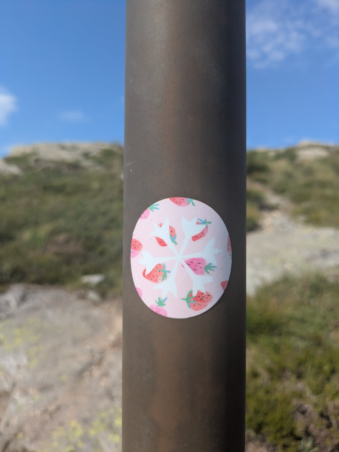 A circular sticker featuring a light pink background covered in a whimsical pattern of stylized red and pink strawberries with green leaves. A distinct white, snowflake-like or star-shaped motif is centered on the sticker, creating a striking contrast with the fruit pattern. The sticker is adhered to a dark, possibly metallic, pole. In the blurred background, there are green, grassy hills under a clear blue sky with some faint white clouds, suggesting an outdoor, possibly hiking or rural, setting.