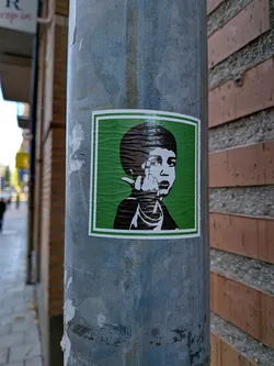 A square sticker placed on a worn, cylindrical metal pole. The sticker features a vibrant green background framed by a thin white border. In the center is a high-contrast black-and-white stencil-style illustration of a young boy with dark hair, gesturing with his hand to raise his middle finger while looking straight ahead with an expressive face.