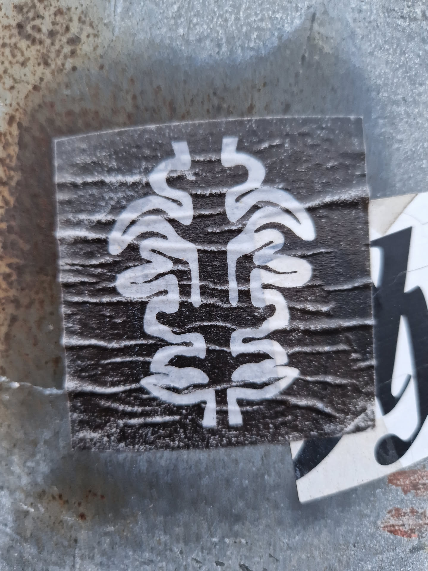 A square dark-colored sticker with a white abstract design. The design is reminiscent of a stylized plant or brain, with symmetrical, organic shapes. The sticker is slightly wrinkled and adhered to a textured surface.
