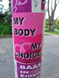 Pink and black sticker with a illustration of a middle finger and the text "My body, My choice".