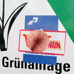 A round sticker depicting a hairy belly button is affixed to a sign.  Other stickers are layered on top and underneath it. The main sign is predominantly white with the word "Grünanlage" (German for green space or park) in bold black lettering.