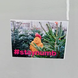 Street sticker A person in a yellow jacket and pink hat stands among Christmas trees. The image is part of a sticker with the text #staynumb printed at the bottom.