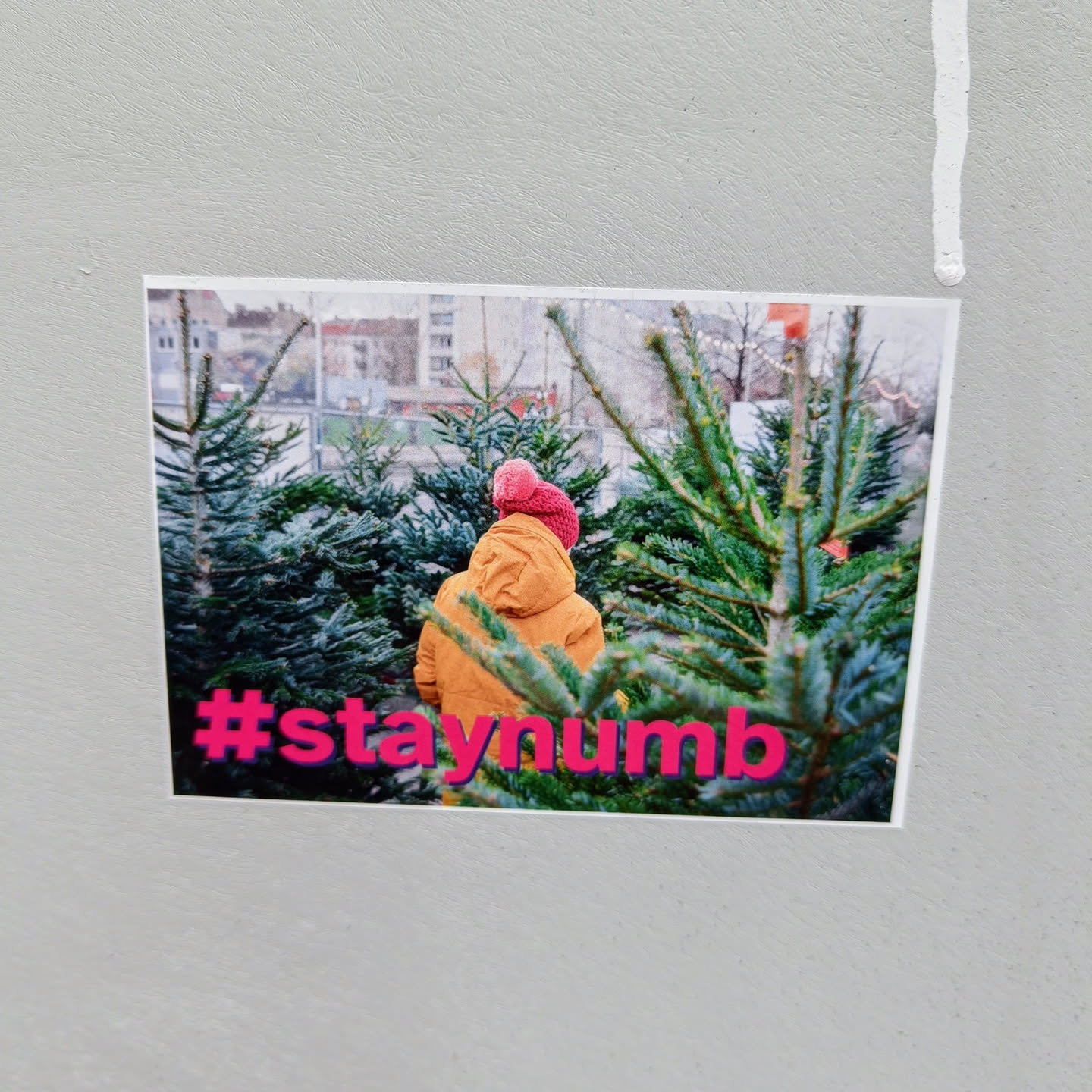 A person in a yellow jacket and pink hat stands among Christmas trees. The image is part of a sticker with the text #staynumb printed at the bottom.