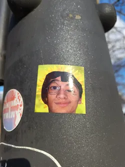 The sticker shows a person's face edited with a sunflower theme. The person has glasses and a neutral expression. There is text above the glasses and under the right eye. The sticker is affixed to a metal pole.