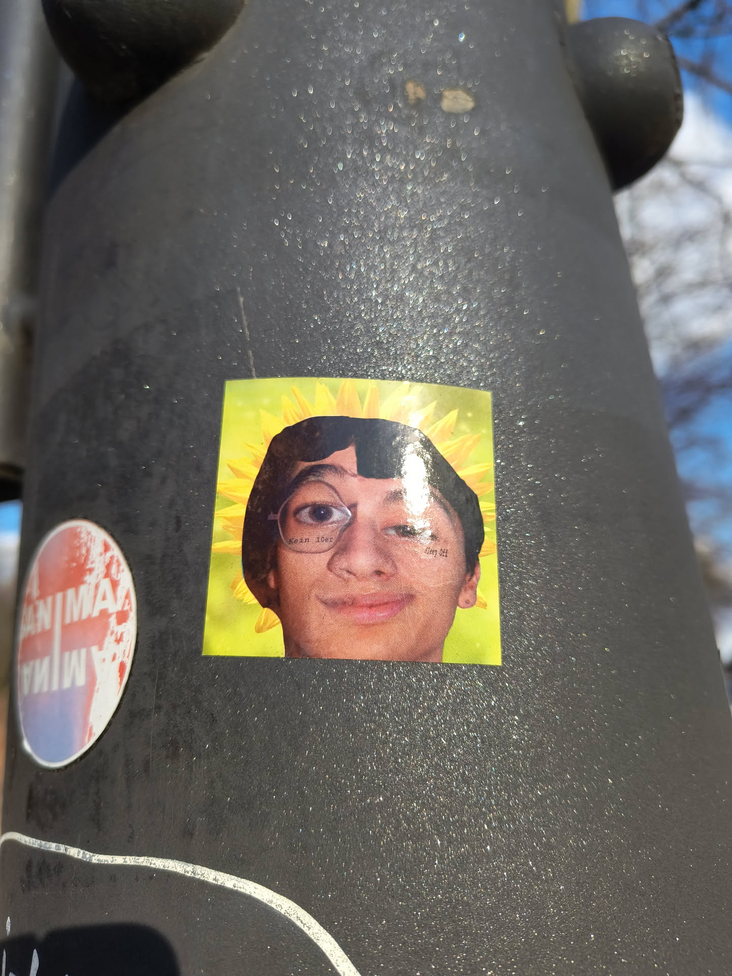 The sticker shows a person's face edited with a sunflower theme. The person has glasses and a neutral expression. There is text above the glasses and under the right eye. The sticker is affixed to a metal pole.