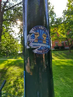 A round sticker affixed to a dark-green pole. The sticker features a blue circular design with two light-brown fists in chains, and text in a circular shape surrounding the fists.  Part of the sticker is damaged. The text partially visible is 'ET FÖR ULTRA' and 'Djurgårdens IF 1912'. The background is a green lawn and trees.