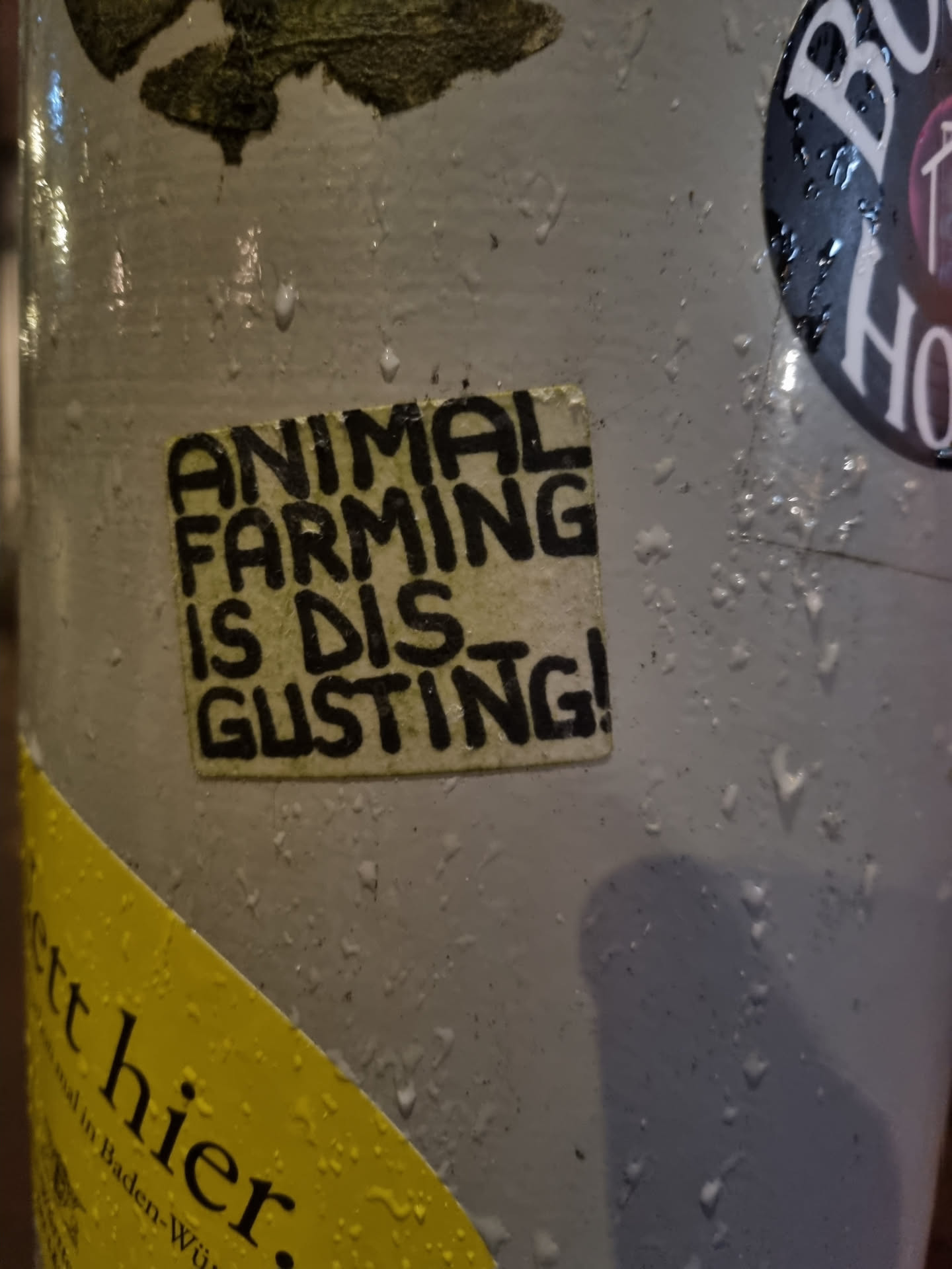 A square sticker with black text on a white background. The text says: ANIMAL FARMING IS DISGUSTING!. The sticker is affixed to a surface that appears to be wet or has condensation.