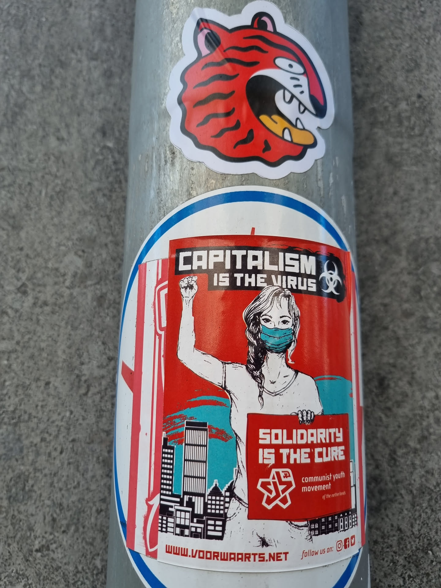 A sticker featuring a woman in a facemask raising her fist in front of a city skyline. The text on the sticker reads "Capitalism is the virus" and "Solidarity is the cure".  The sticker also includes a website address and social media links (Instagram and Facebook).