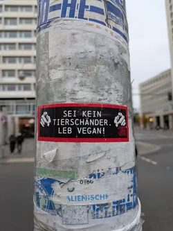 A horizontal rectangular sticker featuring a bright red outer border and a solid black central background. In the center, uppercase white sans-serif text reads 'SEI KEIN TIERSCHÄNDER. LEB VEGAN!'. On both sides of the text, there is a white-and-black illustration of a hand pointing its index finger directly at the viewer. Underneath the hand on the right side, there is a small red QR code. The sticker is affixed to a worn urban lamppost covered with remnants of other posters and tape.