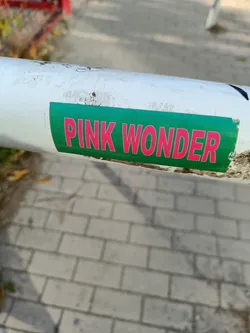 A green and pink sticker with the text "PINK WONDER" on a white metal pole.
