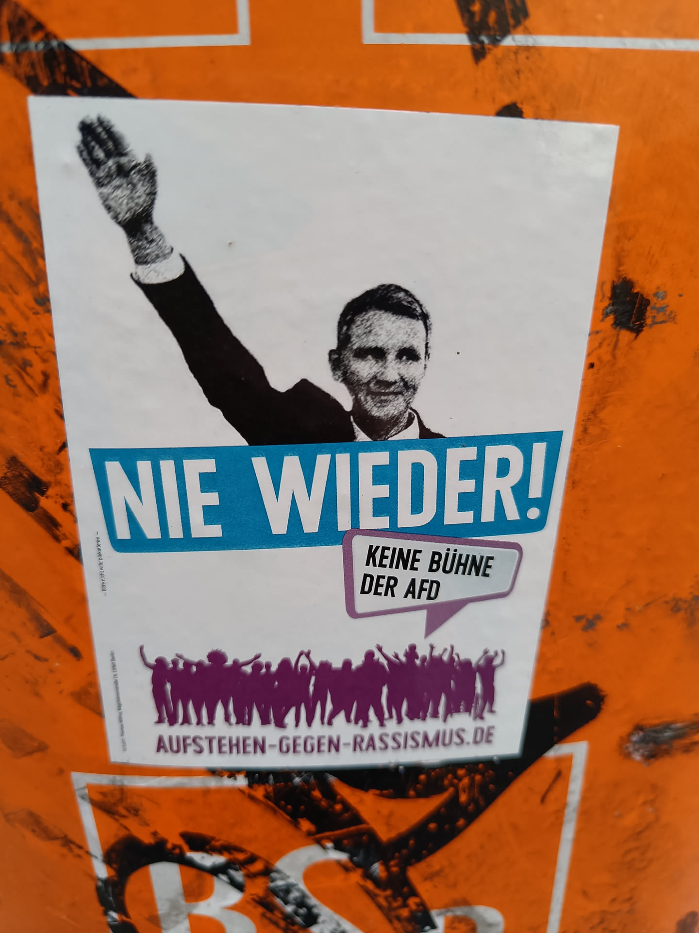 A sticker featuring a stylized image of a person raising their arm in a Nazi salute, alongside the text "Nie wieder!" ("Never again!") and "Keine Bühne der AfD" ("No platform for the AfD").  The bottom features silhouettes of people raising their arms, and a website address.  It is an anti-AfD and anti-fascist message.