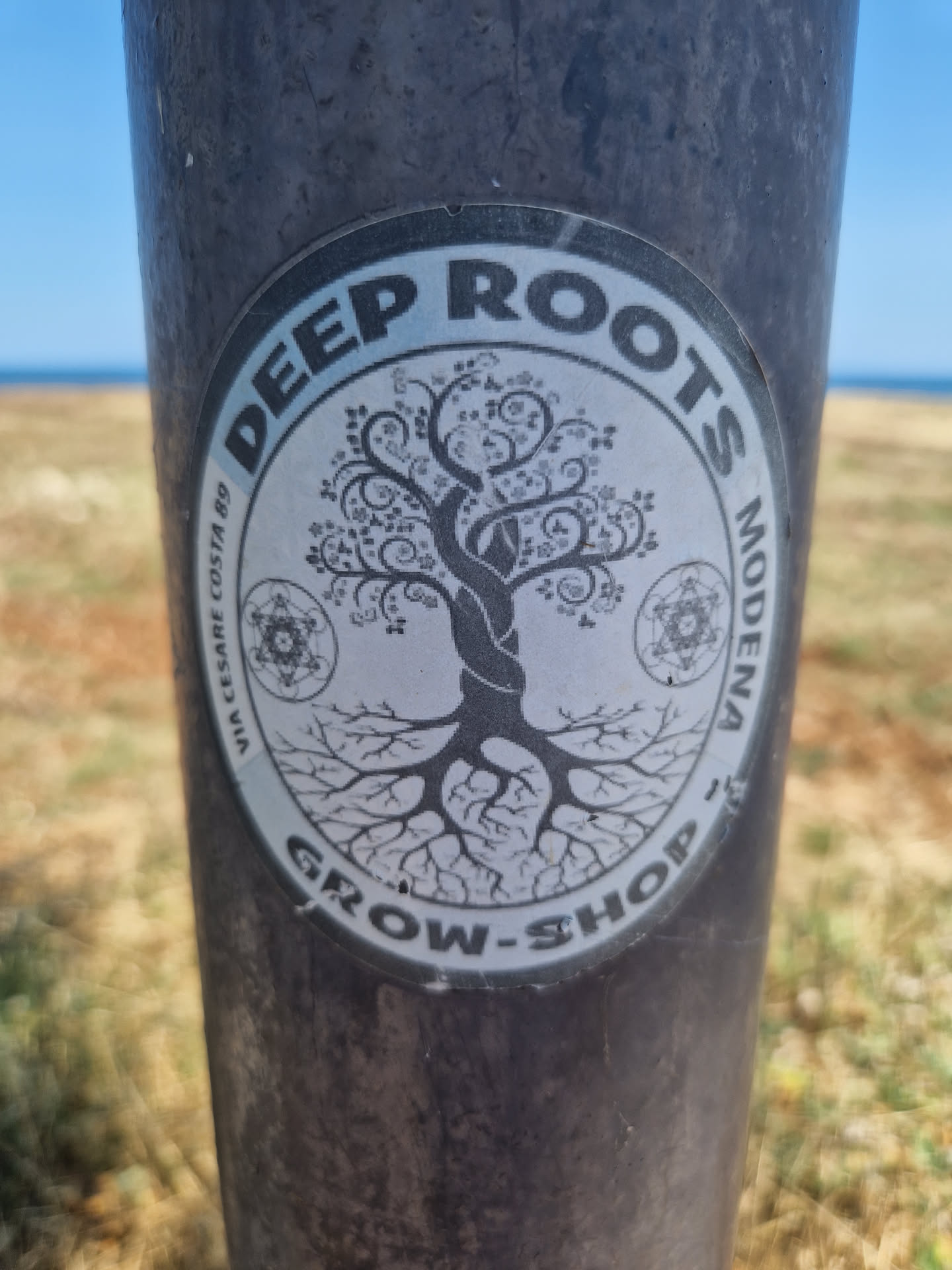 A round sticker featuring a tree of life design with intricate roots and swirling branches. The text 'Deep Roots Modena Grow-Shop' is printed around the image.  Small symbols resembling geometric patterns are also visible near the base of the tree. The sticker is affixed to a dark-colored pole.