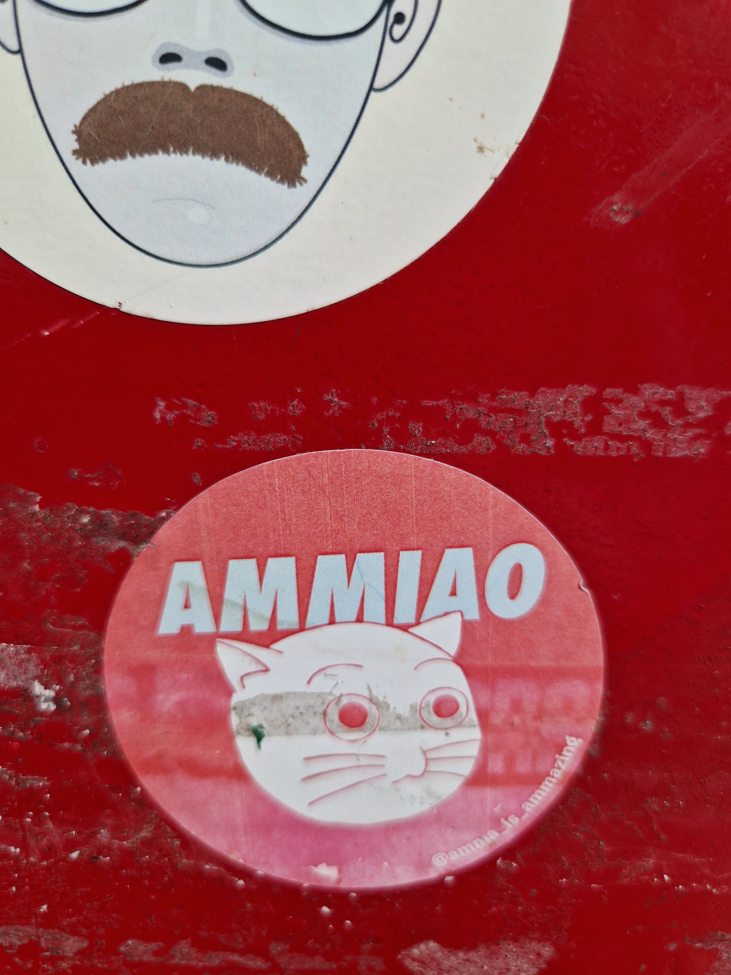 A round sticker featuring a cute cartoon cat with big eyes and the text "AMMIAO" in blue on a red background. The sticker has a minimalist design with a slightly worn appearance.