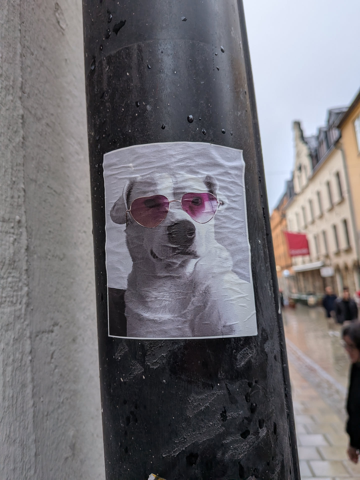 A rectangular sticker featuring a grayscale portrait of a dog's head, facing forward. The dog is wearing prominent heart-shaped sunglasses with vibrant pink or magenta lenses, which stand out against the otherwise monochromatic image of the dog. The sticker is applied to a dark, possibly metal, pole and shows visible wrinkles and creases, indicating it's a physical sticker exposed to the elements.