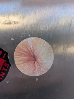 A round sticker featuring a detailed, realistic image of an anus. The sticker also includes the text "anussticker.de".