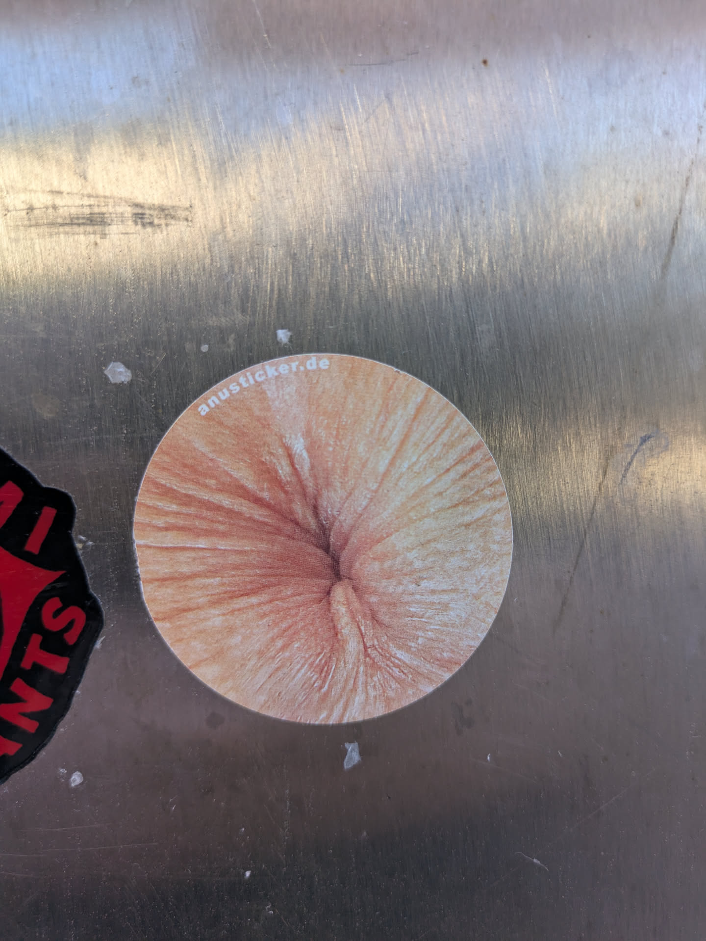 A round sticker featuring a detailed, realistic image of an anus. The sticker also includes the text "anussticker.de".