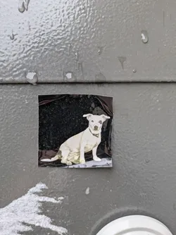 A square sticker on a gray metal surface shows a dog sitting. The dog is mostly white with some light brown patches, and it's wearing a collar. The background of the sticker is dark and speckled, giving it a textured look. The sticker is slightly peeling off.