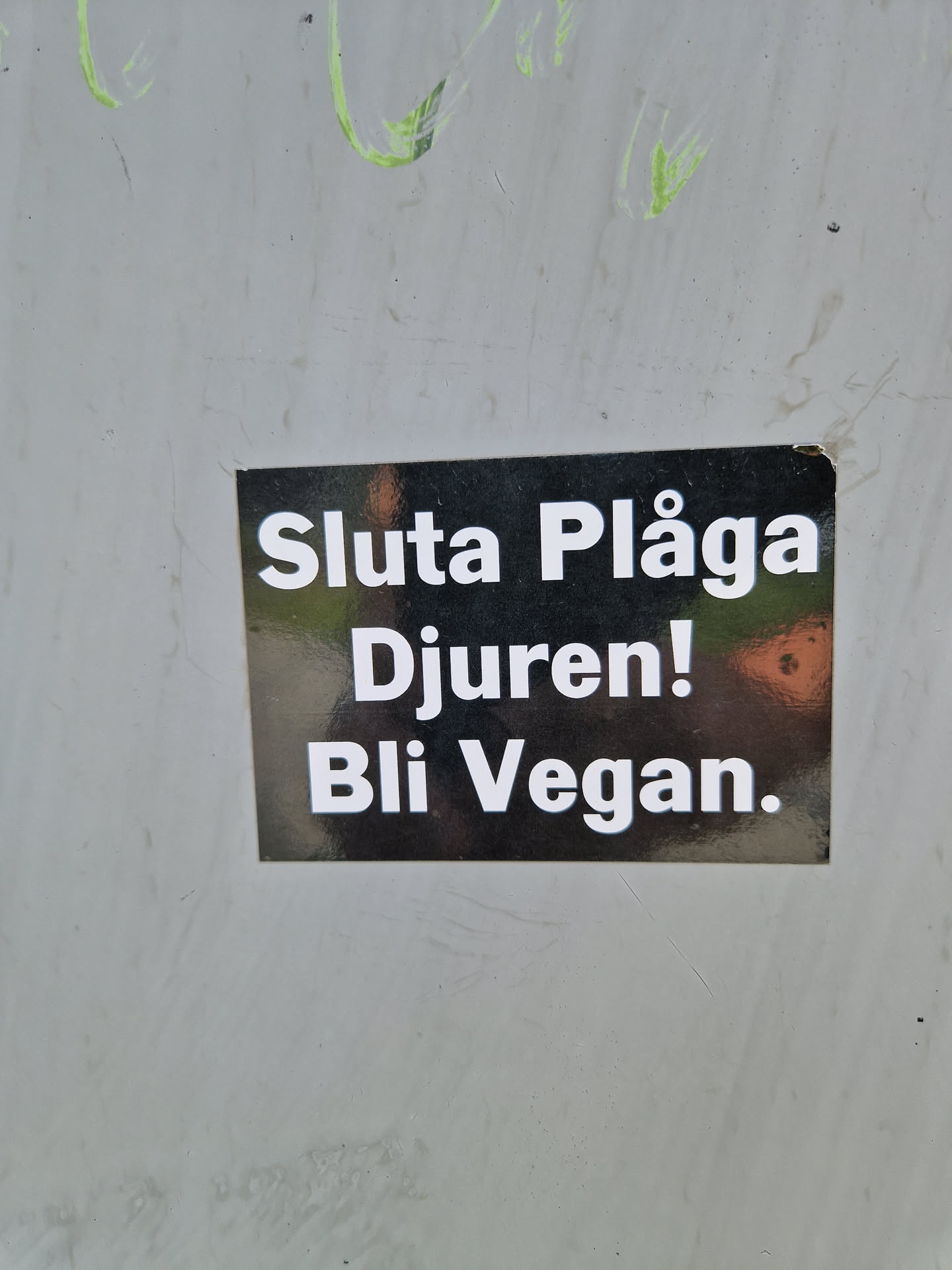 A black sticker with white text on it. The text says "Sluta Plåga Djuren! Bli Vegan." which translates to "Stop Torturing Animals! Go Vegan."