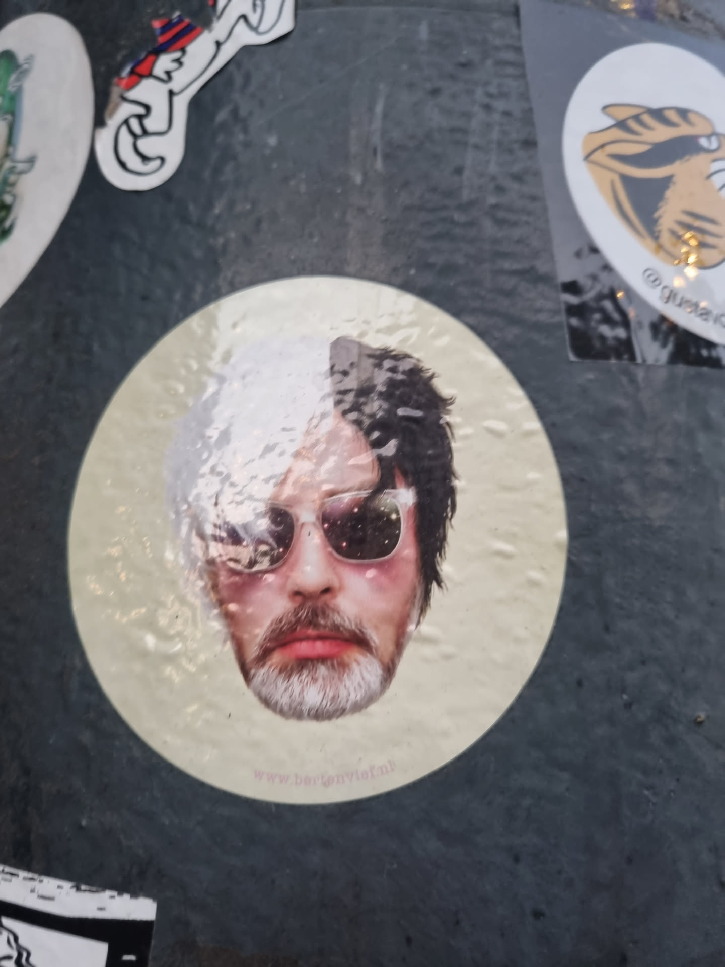 A round sticker with a stylized portrait of a man. His hair is split down the middle, half white and half dark. He's wearing sunglasses and has a goatee. The background is off-white or beige. A website address is printed at the very bottom.